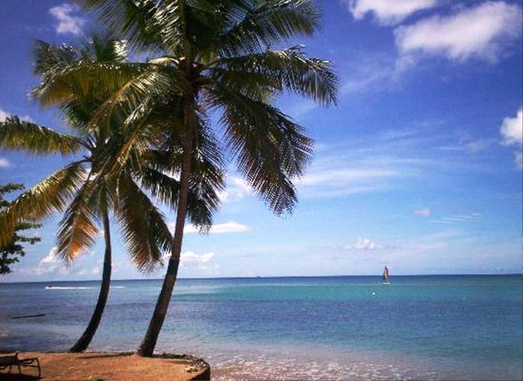 East Winds St. Lucia Hotel Gros Islet Exterior foto