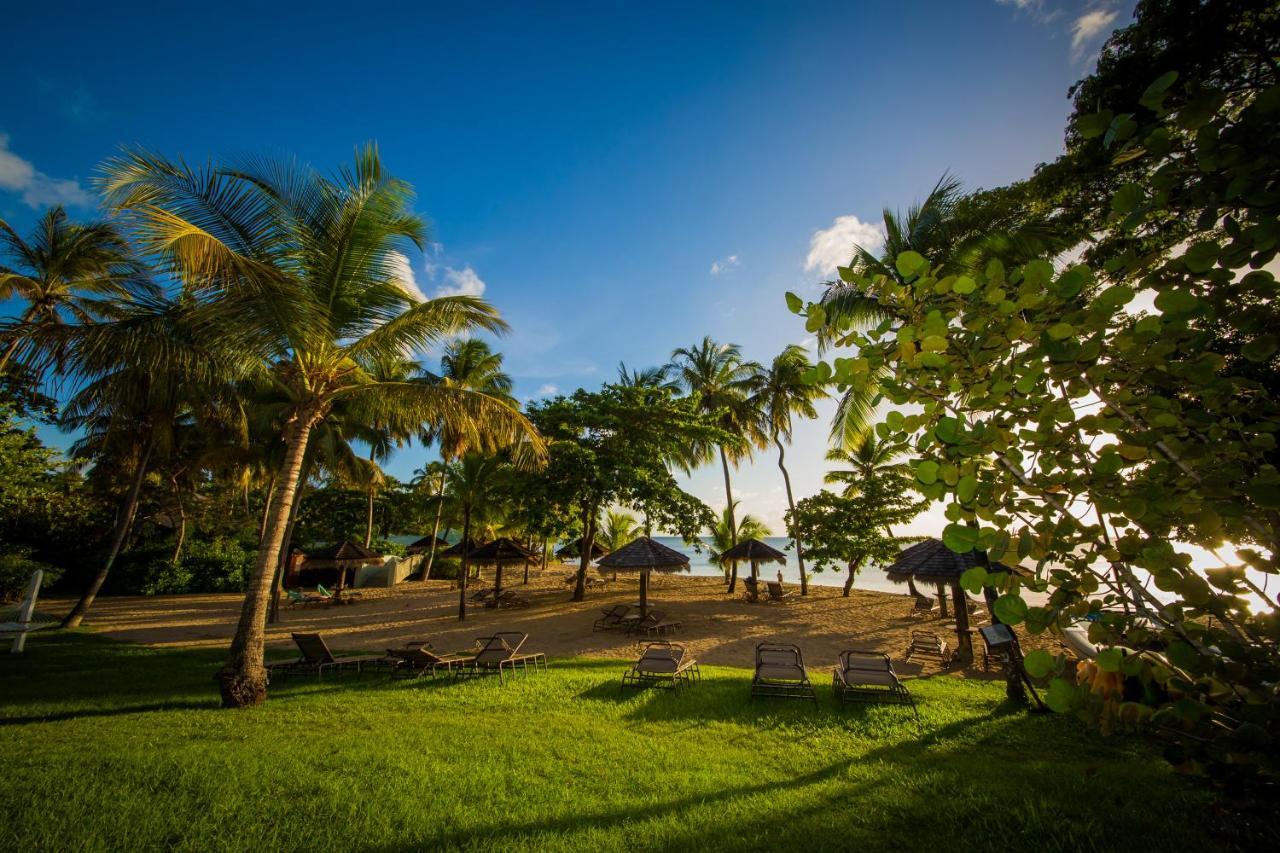 East Winds St. Lucia Hotel Gros Islet Exterior foto